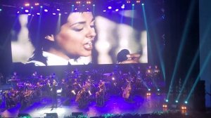 королек птичка певчая.оркестр