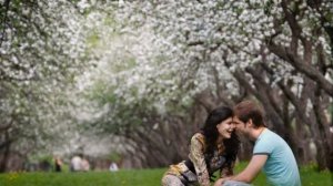 Саратовские вишни сл  Н  Палькина