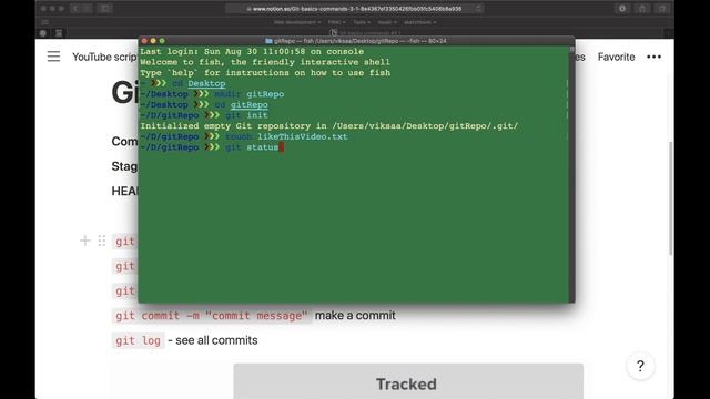Git basics commands #3.1 смотреть онлайн