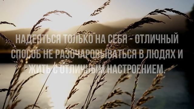 МОЩНЫЕ мудрые СЛОВА о Жизни, которые навсегда изменят ваше СОЗНАНИЕ. смотреть онлайн