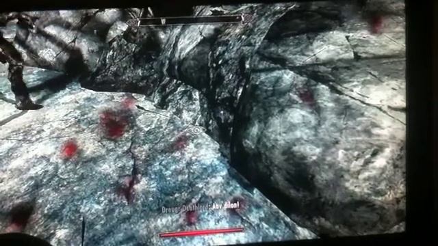 Elder Scrolls : Skyrim - Big Camera FAIL