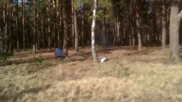 VIDEO0161.mp4 смотреть онлайн