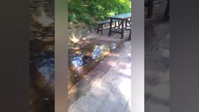 Странные Взгляды