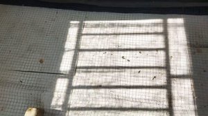 Стяжка пола по грунту с утеплением