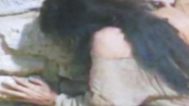 ЛЕГЕНДА О СТРАННИКЕ(стихи Высоцкого) смотреть онлайн