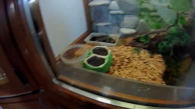 Террариум в Геленджике смотреть онлайн