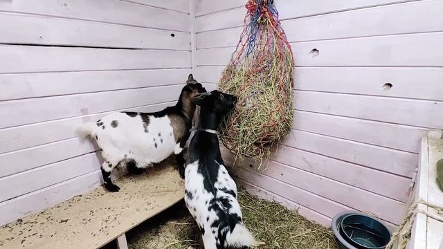 Желаем радоваться жизни! смотреть онлайн