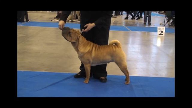 Ingrem Rey Hi Fi Energy смотреть онлайн