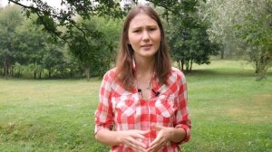 Обзор базы отдыха «Ильинка» на Селигере. Отдых — просто космос!