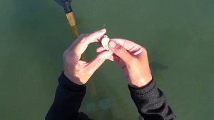 Вот это удача нашла много золота и серебра с металлоискателем на пляже в Анапе. Пляжный коп 2023.