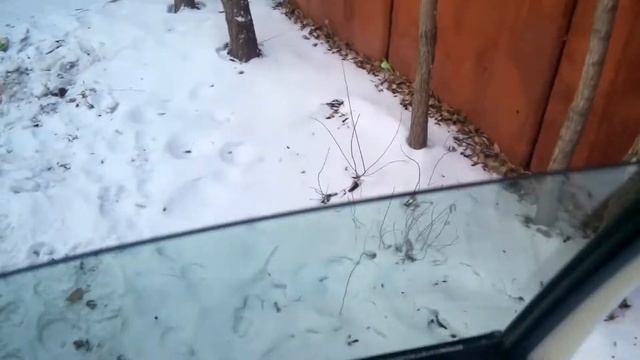 Поломка стеклоподъемника тойота витц Scp10