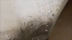 Лайфхак - из ванны сделать поддон для душа.
