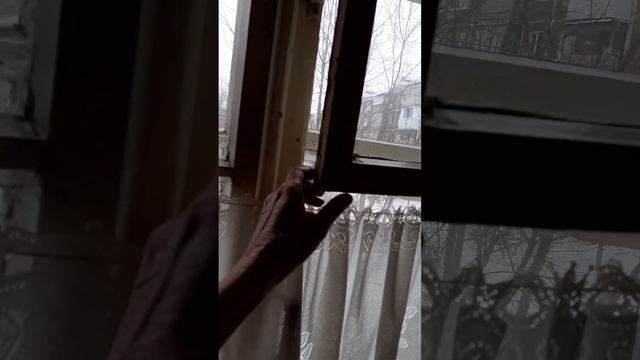 2 февраля 2024 г. Кошка повисла на окне 👆 🪟 смотреть онлайн