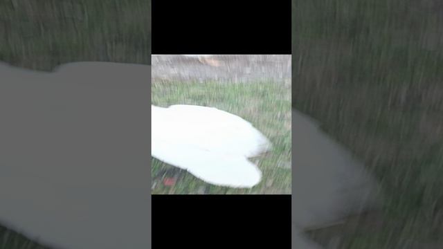 VID_20230917_131343.mp4 смотреть онлайн