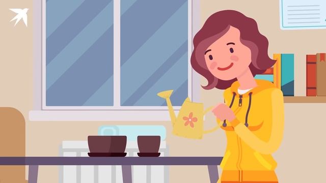 Как и когда сажать рассаду? смотреть онлайн