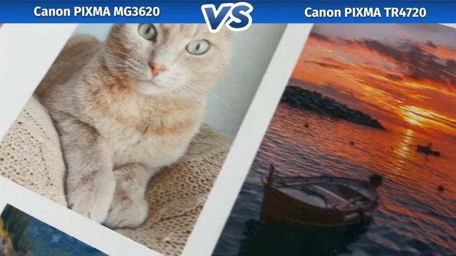 Canon PIXMA MG3620 VS TR4720 Printer: Which one is Better? смотреть онлайн