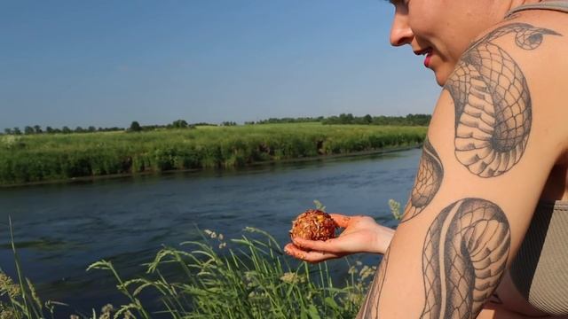 ДИКИЙ САЗАН НА ПОПЛАВОК. Рыбалка летом на реке. #330 смотреть онлайн