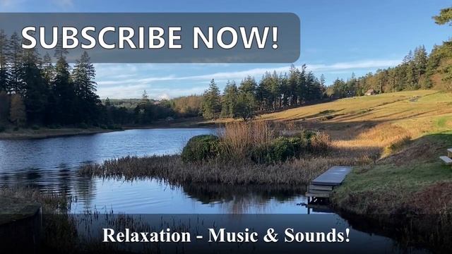 Calm river - Relaxing atmosphere - Meditation and peace смотреть онлайн