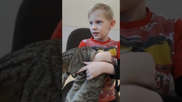 Моё мнение. Часть 1. Как видят животные. смотреть онлайн