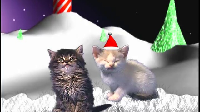 Песня котят Jingle Cats Silent Night смотреть онлайн
