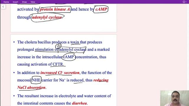 Digestive system Large intestine GIT 6 by Dr Praveen, Curacao смотреть онлайн