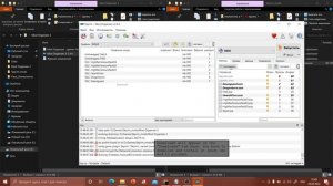 18+ Скайрим - лучшие моды (КАК УСТАНОВИТЬ Mod Organizer 2)