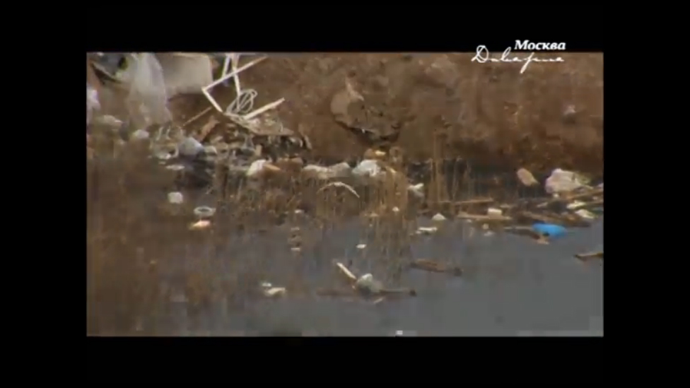 Озеро в Подмосковье превратилось в свалку смотреть онлайн