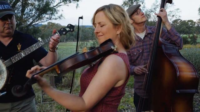 Galax Bogtrotters play "Drunk Man's Blues - Little Brown Hand" смотреть онлайн