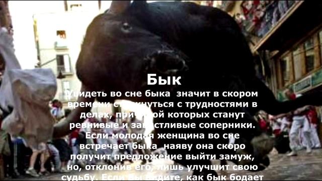 Если Вам приснился БЫК. Сонник Миллера смотреть онлайн