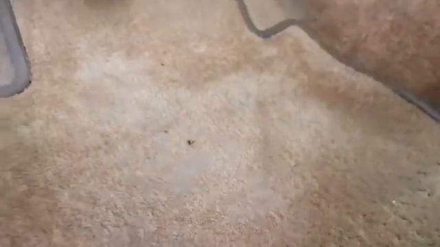 Chevrolet Cheyenne 1988. 21,000kms (SOLO PARA EXHIBICIÓN ) смотреть онлайн