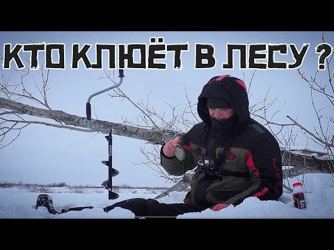 ЗАКОРМИЛ КЛУБНИКОЙ ЗАТОПЛЕННЫЙ ЛЕС! Она поднимает кивок КРАСИВО! Это плотва смотреть онлайн