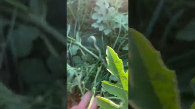 31 июля 2021 г. смотреть онлайн