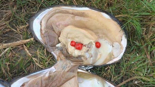 Stepping on a big river clam in the wild pond, filled with valuable pearls, I laughed happily смотреть онлайн