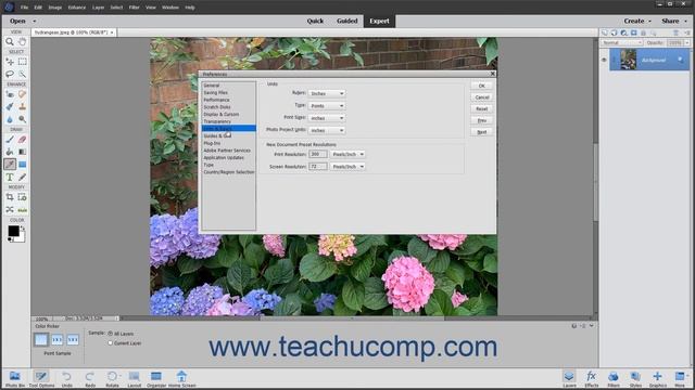 Photoshop Elements 2021 Tutorial Setting Preferences Adobe Training смотреть онлайн