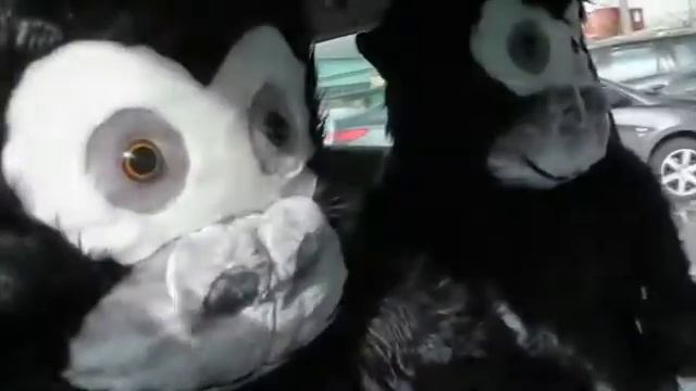 Чехол-подголовник Добрая Горилла смотреть онлайн