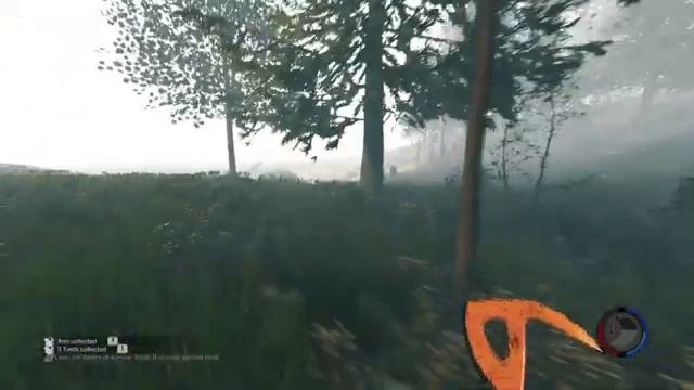 ПЕРВАЯ ВЕРСИЯ THE FOREST. Какая она?!