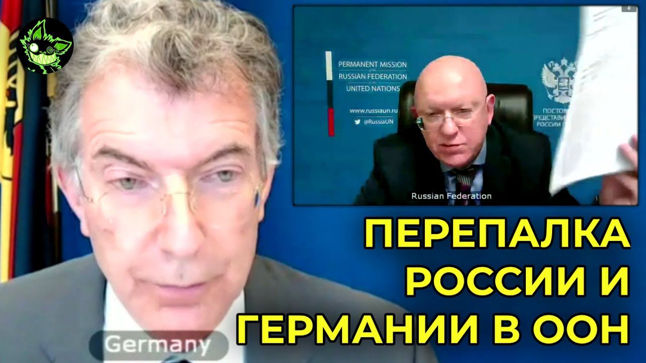 НЕБЕНЗЯ РАЗМАЗАЛ ОЗХО И ГЕРМАНИЮ НА ЗАСЕДАНИИ СОВБЕЗА ООН смотреть онлайн