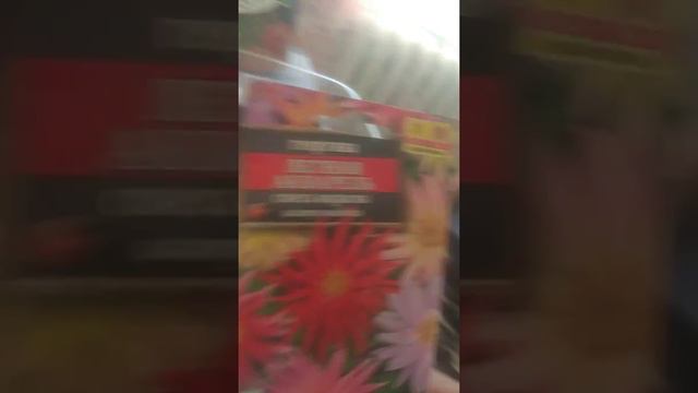 Высадка семян на рассаду (цветы)ЧАСТЬ 2 смотреть онлайн