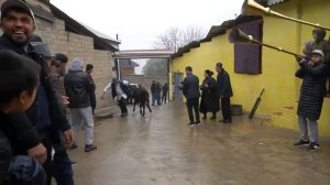 Лаҳзаҳои гуворо 2024