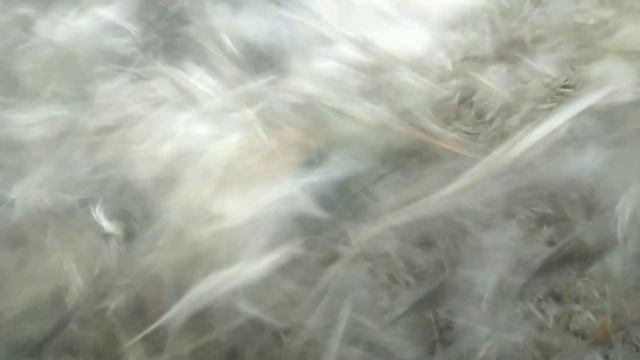 Стирка (аквачистка), чистка, пошив пухового одеяла из пухо-перьевой перины; chudesnyy-son.by смотреть онлайн