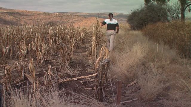 206 Bambara Marquez votre territoire (Stake your claim) смотреть онлайн