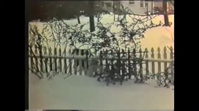 Family Holiday in the Snow - 1960's смотреть онлайн