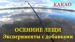 Осенний крупный ЛЕЩ клюет на макароны с какао#рыбалка #лещ #фидер