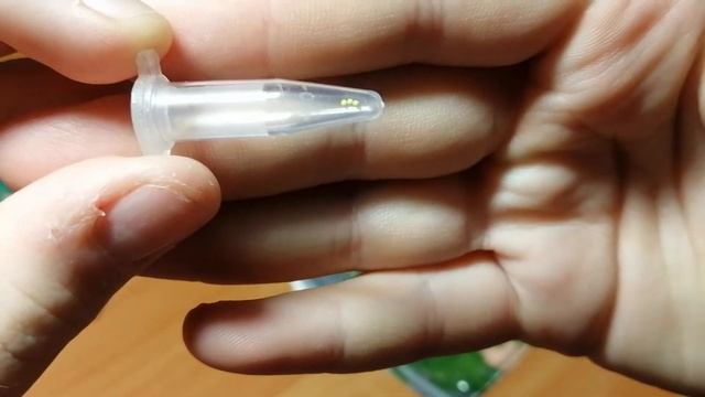 Семена комнатных растений которые я буду сажать в 2021 году. смотреть онлайн