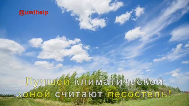 Житель Павлодара, обычный менеджер, посадил в голой степи лес… смотреть онлайн