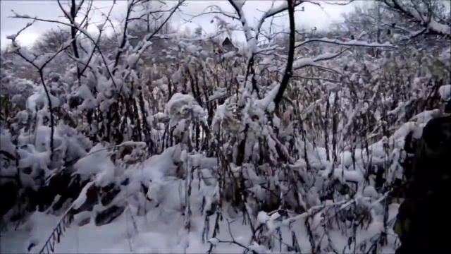 04.12.2016 Турпоход смотреть онлайн