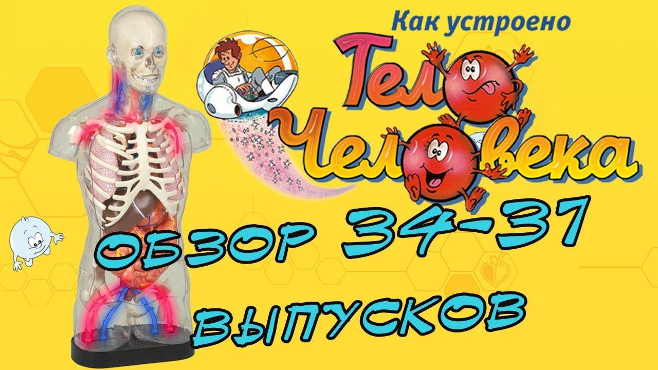Как устроено тело человека. DeAgostini | 34-37 выпуски смотреть онлайн