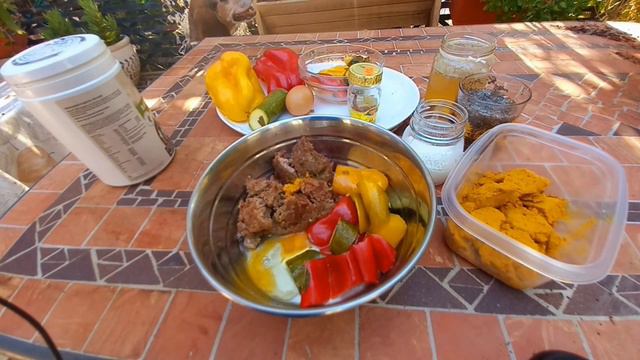 DIY Healthy Homemade Dog Food Recipe for Medium Senior Dog смотреть онлайн