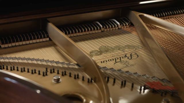 Player Pianos - The Piano Man Superstore смотреть онлайн