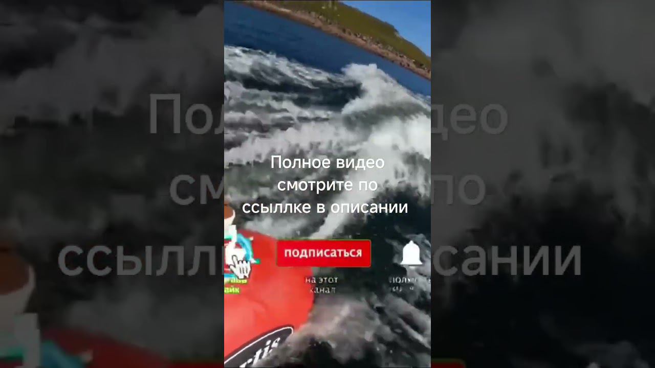 в этом году лицензия открывается с 1 мая смотреть онлайн
